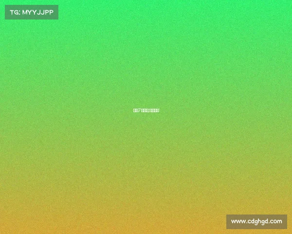 台北7月赛事;台北赛道